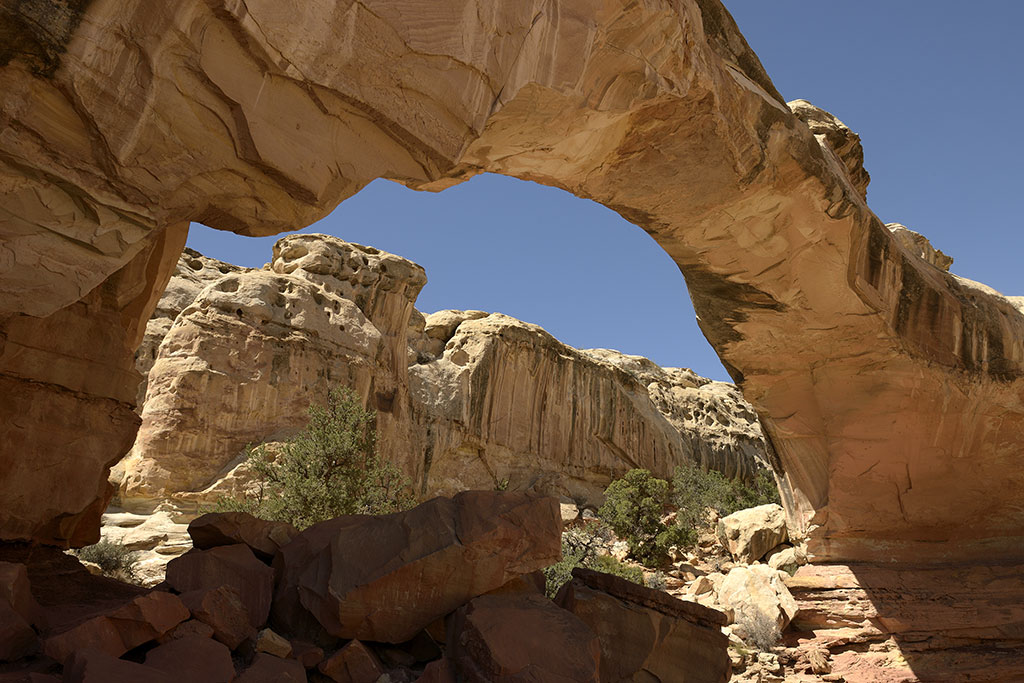 Capital Reef Nat Park 