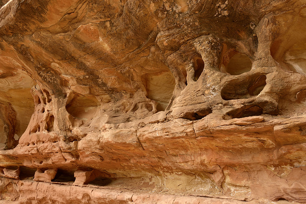 Capitol Reef USA 