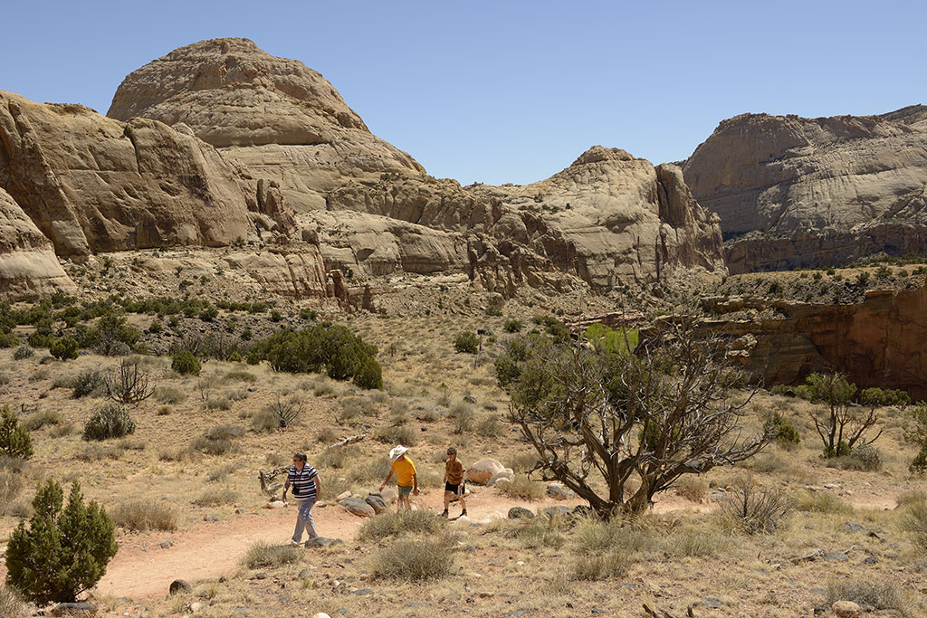 Capitol Reef USA 