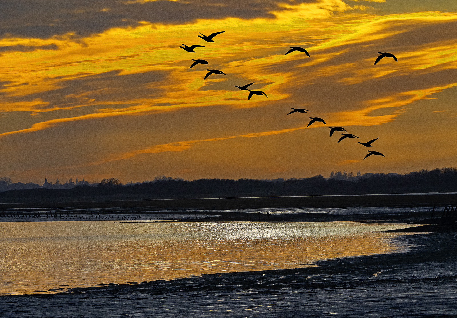 Evening Flight, Chichester Harbour 