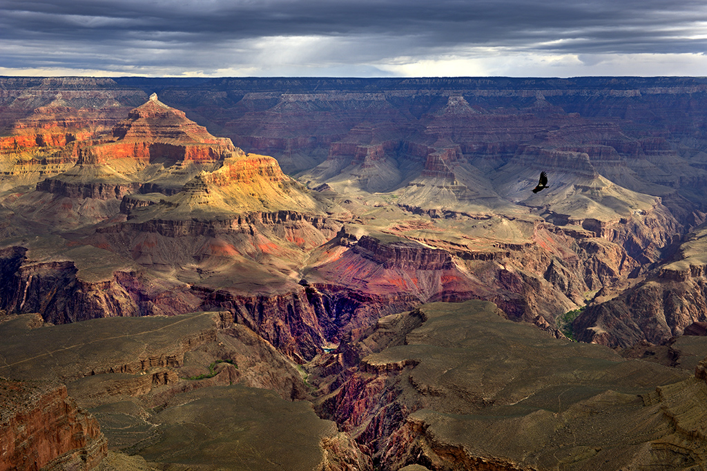 Grand Canyon with Condor! 