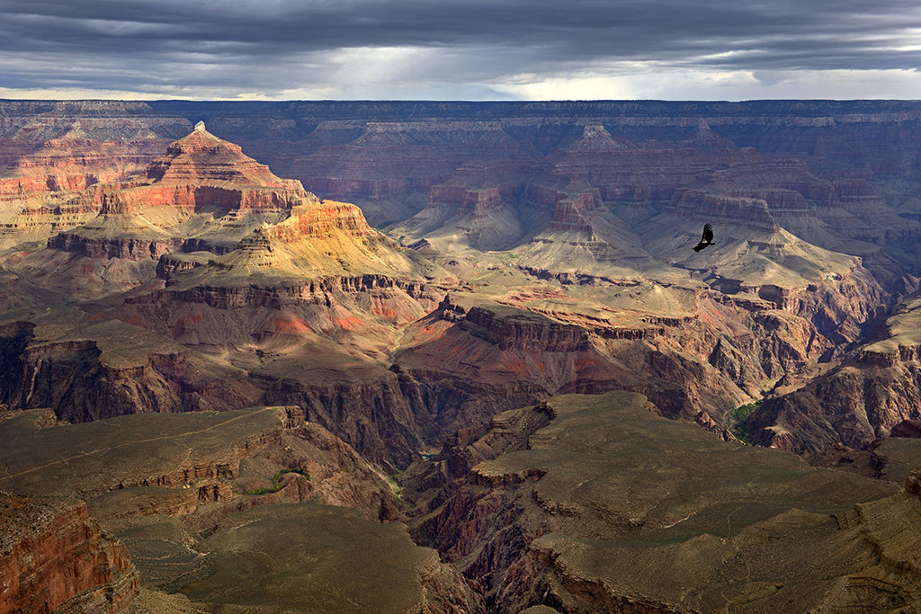 Grand Canyon, Nikon D800 DSLR 