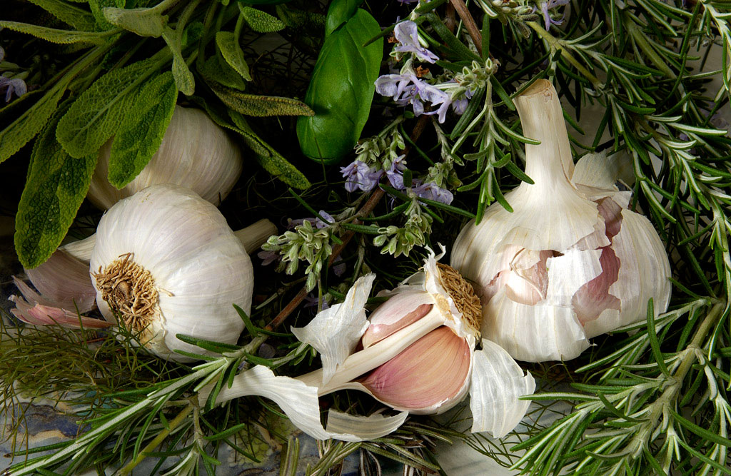 Herbs Elinchrom Studio Flash and Nikon DSLR 