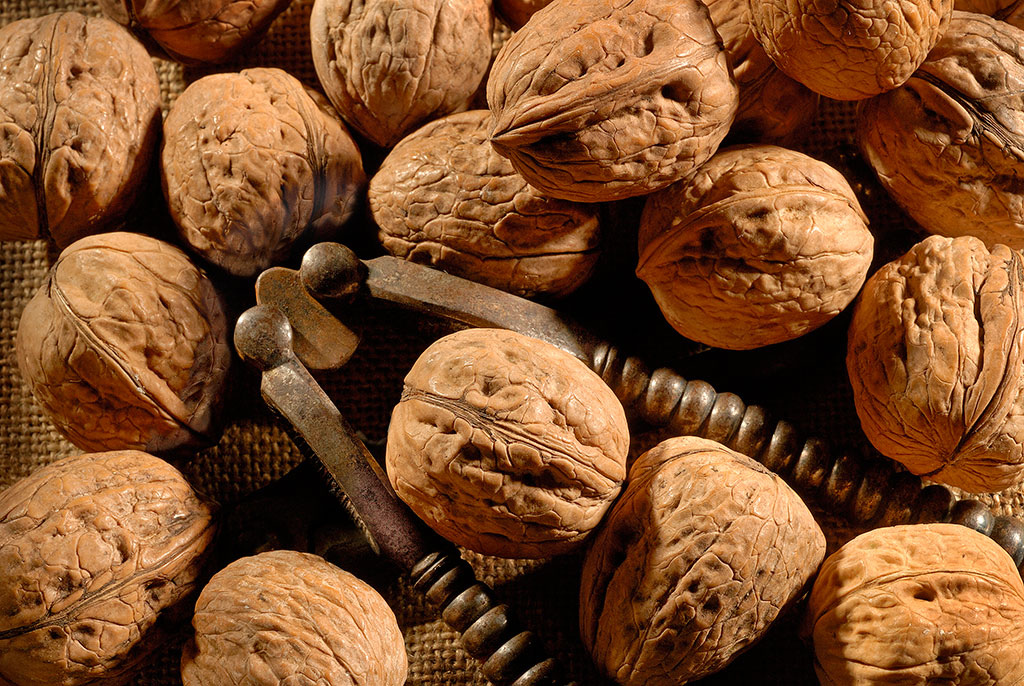 Nuts still life Nikon D200 DSLR 