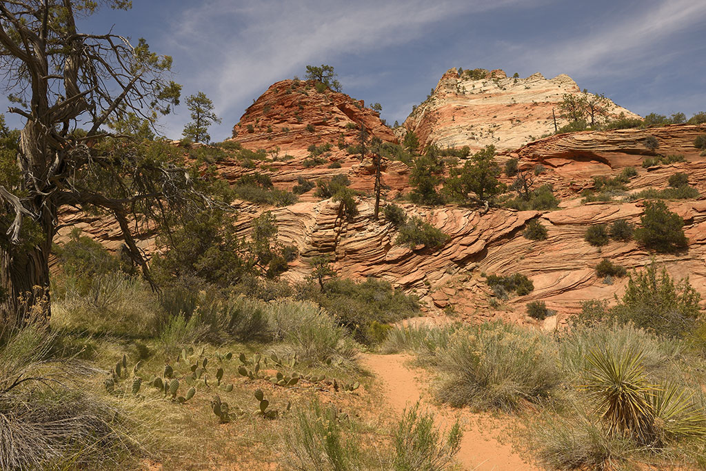 Zion National Park USA, Nikon D800 DSLR 